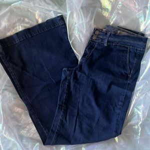 GAP Limited Edition Dark Blue Jeans